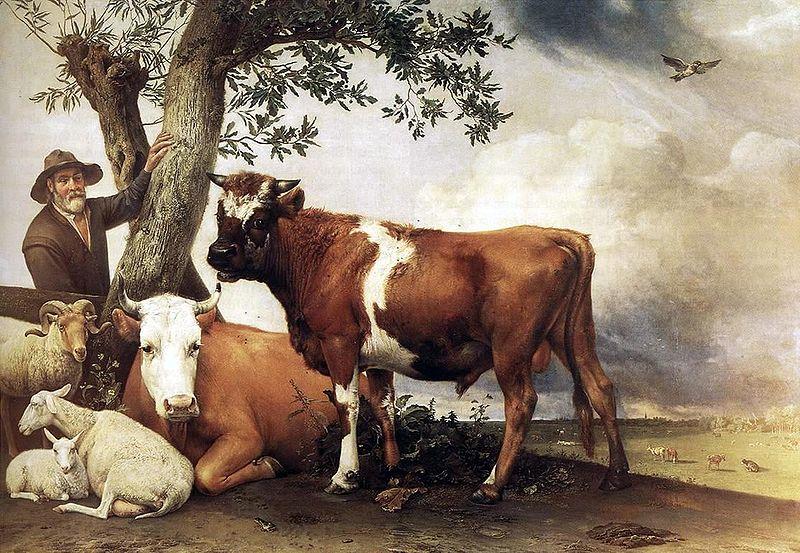 POTTER, Paulus bull oil painting picture